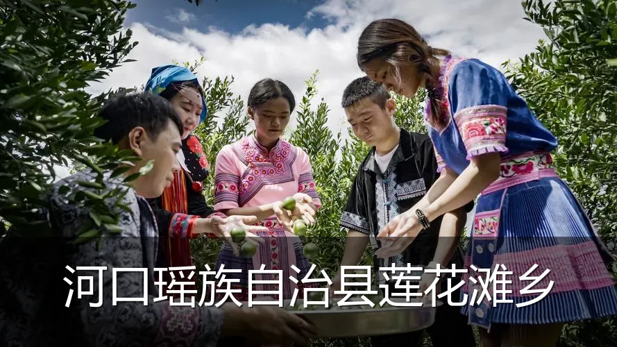 河口瑶族自治县莲花滩乡